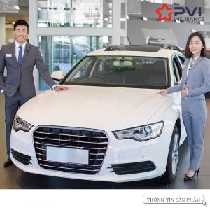 bảo hiểm oto bảo hiểm xe máy PVI